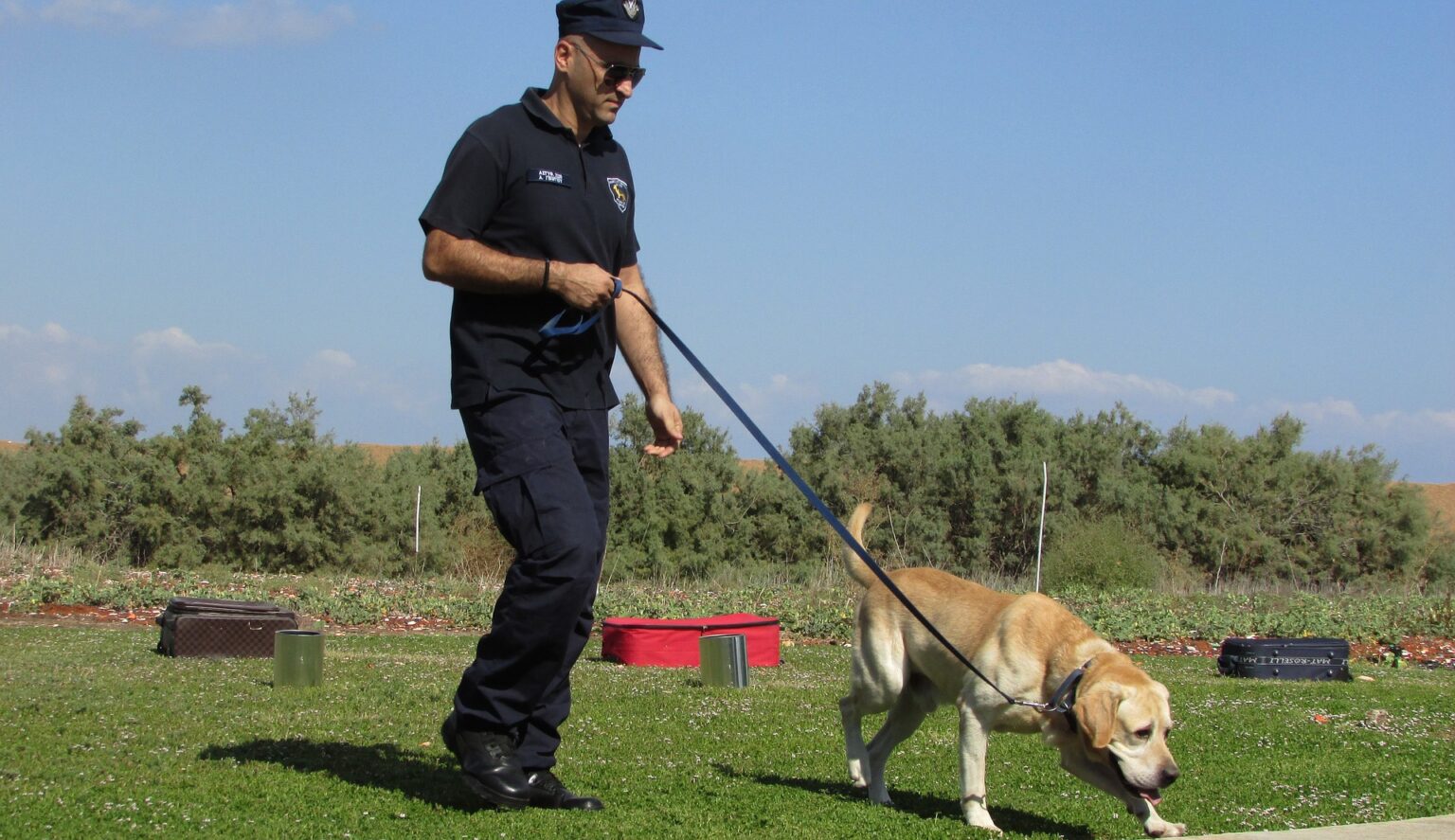 How Narcotics Detection Dogs Are Trained - Citizen Speak